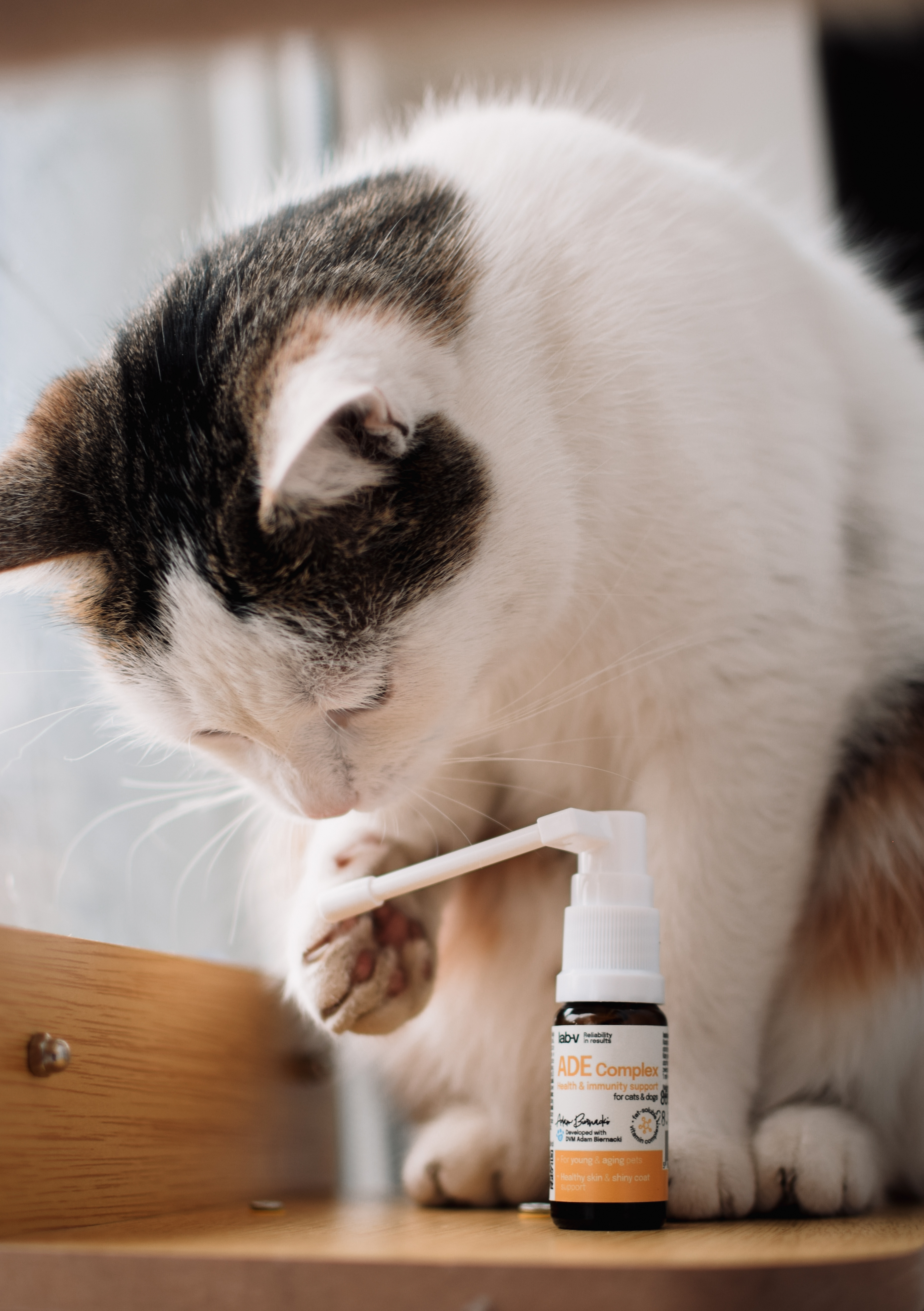 Witaminy tłuszczorozpuszczalne i omega-3 — co robią dla odporności?