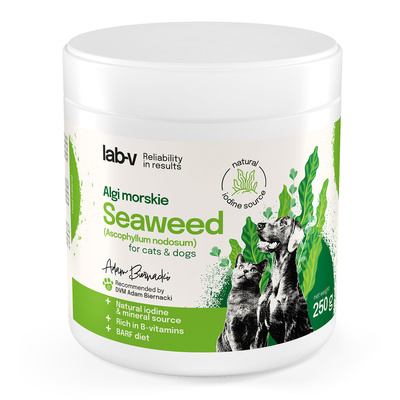 Lab-v Algi Morskie - naturalne źródło jodu i minerałów dla psów i kotów 250 g g