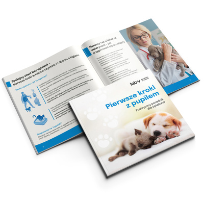 Mini poradnik "Pierwsze kroki z pupilem"