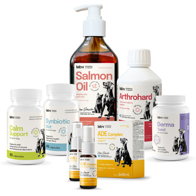 Lab-v Pet Care Box MAXI – Zestaw prezentowy dla psa