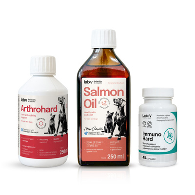 Zestaw prezentowy dla psa – Zdrowe stawy, odporność i lśniąca sierść