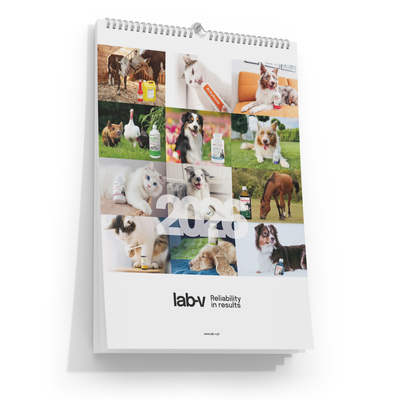 Kalendarz Lab-v 2026