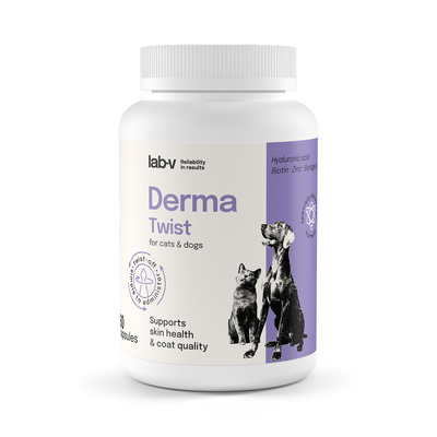 Lab-v Derma Twist – wsparcie skóry, sierści i bariery ochronnej dla psów i kotów 60 kapsułek twist off